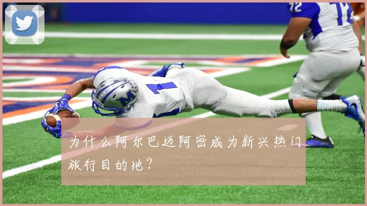 为什么阿尔巴迈阿密成为新兴热门旅行目的地?